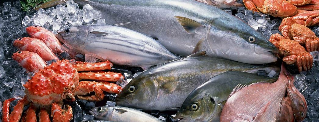 перевозка рыбы и морепродуктов