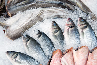 Перевозки рыбы и морепродуктов Москва